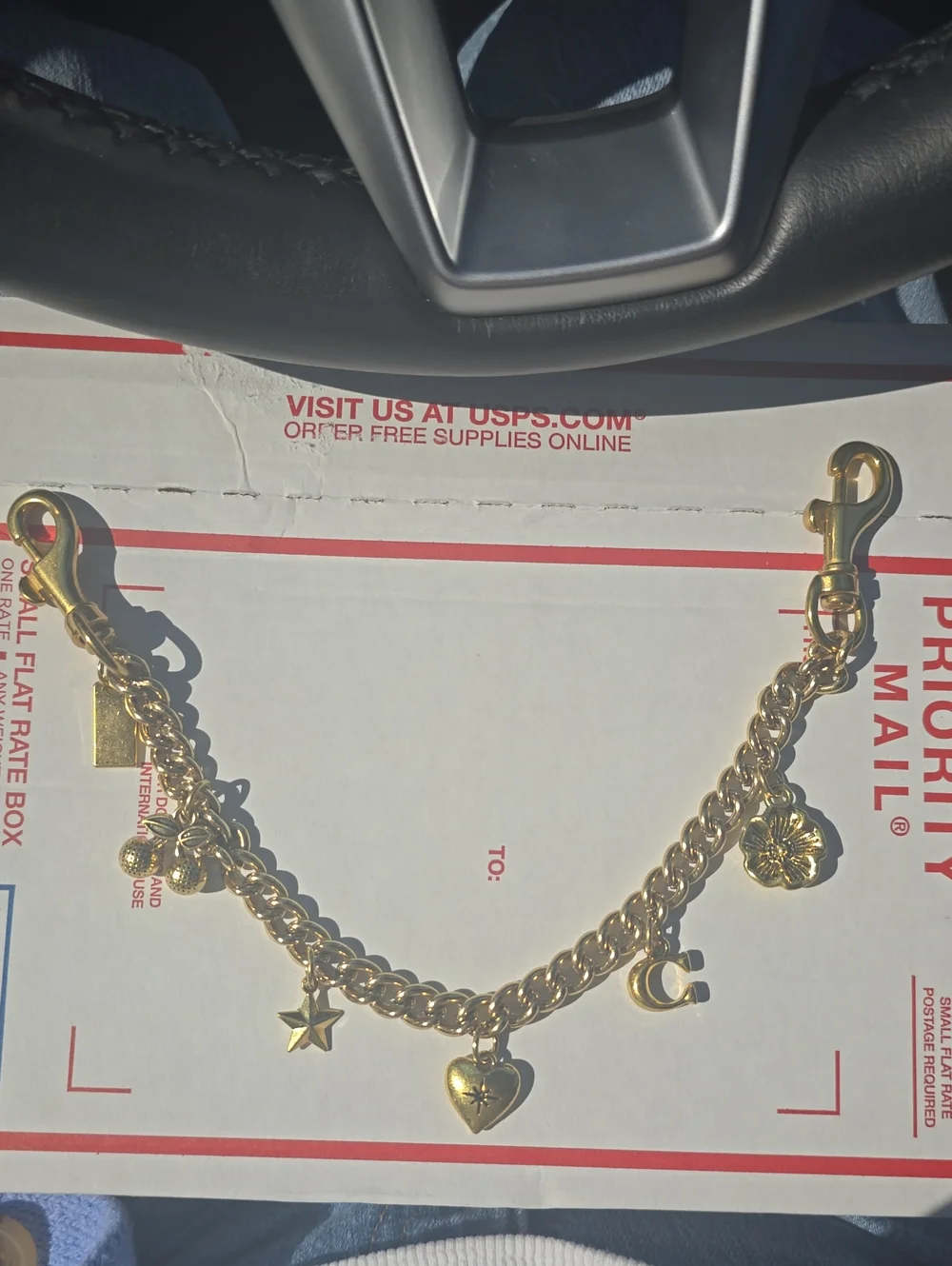 Gold Tone Swagger Charm Chain Bag Strap Extender Coquette Style, NEW